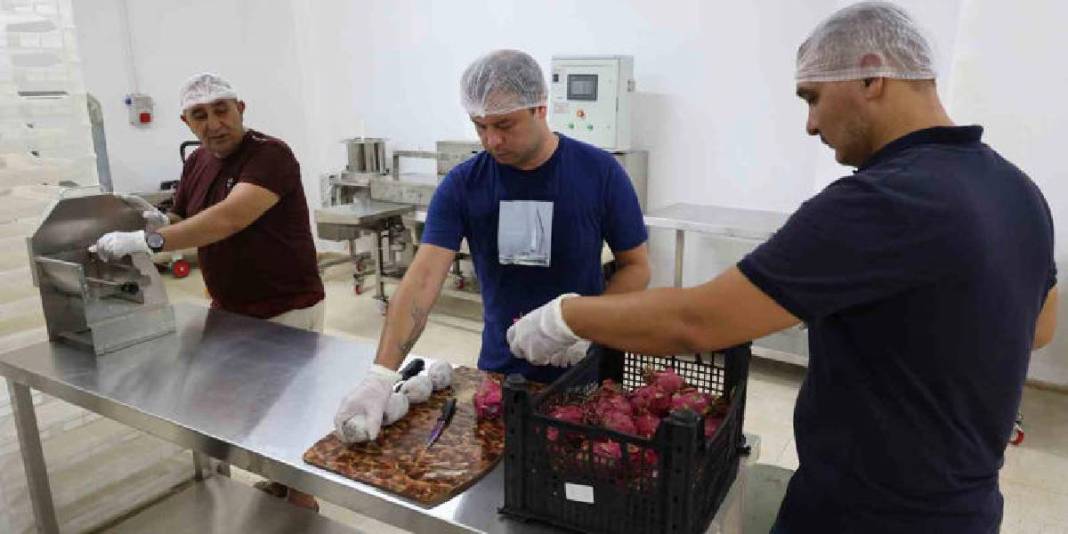 Kurutulmuş meyve sektörünün yeni yıldızı! Bu lezzet artık yükselişte: Üreticinin yeni gözdesi oldu! 5